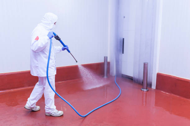 Best Solar Panel Cleaning  in Inglis, FL